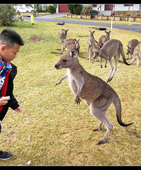 17������ԼݰĴ����ǣ���·����ϸ����