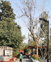 ������ĩ���쵽�����������õ�����