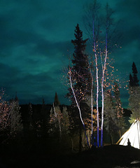 ȥ�Ƶ���Բ��7���׷����