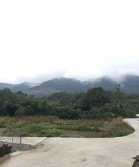 ����ĺ�԰�������������������ϴ�Σ�Զ����ɽ��������