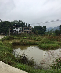 ����ĺ�԰�������������������ϴ�Σ�Զ����ɽ��������