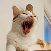 ����ͼ�ж����ᴫȾ��