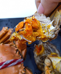 �óԹ��Ǵ��ſ����̽���з��������ȫĸʮֻװ