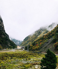 뿴ȥҶ֪żһѩװع̫