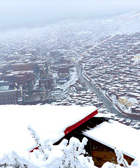 ��ѩǰ��ֻΪ��һĨ�죬��ѩ�µ�ɫ��֮��