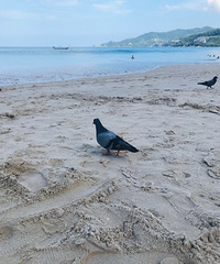 û�й��ԣ�˵�߾���ȥ�ռ���