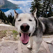 ���ͷ�������ЩͺȻ