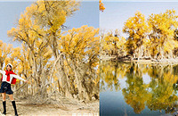 ĩȥϽˮϺ֣ˮ⴮óֱ