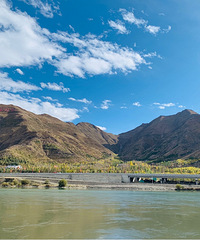 �������������ܺã����۵Ļ�Ҷ���������