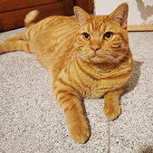 ��3000�����Ӣ��