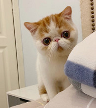 ������ֻè�������ҵ�