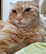 ��������ץ��Ѫ����ô�죿