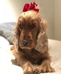 ���������ֻŮװ���У�