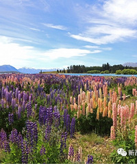 11�½�ӭ�������������������³������������