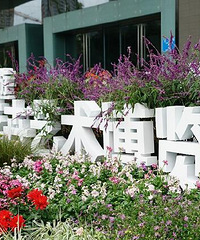 2019重庆花博会直播全攻略