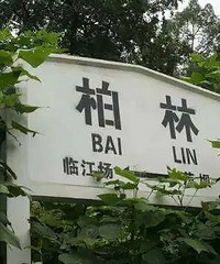 重庆最牛火车直达"德国",仅需3个半小时