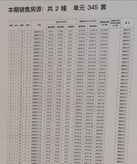 西派城二期首开