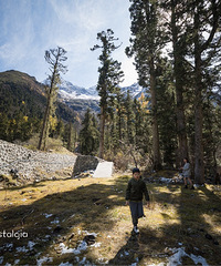 ȥ﹵ĩȪƵ꺬2Ͳ500