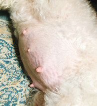 �����о�ȻҲҪ�������ƣ�