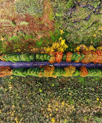 ɽ��ƺɭ�ֹ�԰���ڻ���ɫ��η����������Ĵ�Ƭ�ļ���