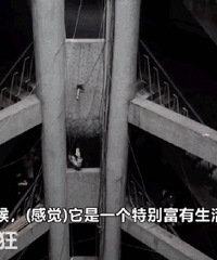 ��������㡷����ҳ�wanghong����