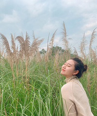 �����½������ʥ�أ���һ��Ƭ«έ�����ճ���