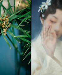 �ҵĸ��Զ���д�棬��һ�γ������ַ��̫ϲ����