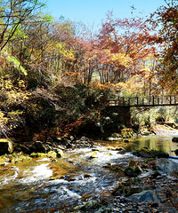 �����ɽ100�๫�����پ����������