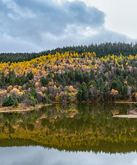 ����⳵�Լ��������������Ȼ���ڲ��ԣ�ȴ��Ȼ����