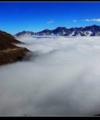 һ����ĩ����ȥ����è�������ͺ�ҶƬƬ̤��ѩ����