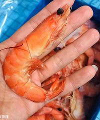 ̩Ϻ廨⡢ţš⿪ţż۳