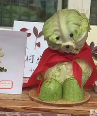 ����ͷû�е��汾�£������ҵ��ҳ���