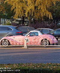 �������⳵��ͷ��̫���ˣ���ô�������ˣ��������ӳ�