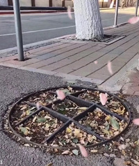 ֻҪ�����й�������·��Ҳ������ʱ��سԻ��