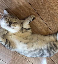 ����˯��ҲҪ����������