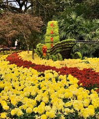 ����ջ�չ��Ҫȥ�ͳ��⼸��Ŷ