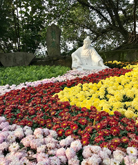 ����ջ�չ��Ҫȥ�ͳ��⼸��Ŷ