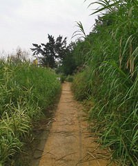 ���ǳ���ʪ�ع�԰����Ϫ������10�������û��