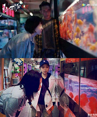 ��������㡷ȡ�����������ģ���