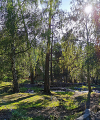 ��������7�����پ����Ĺųǡ���կ