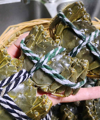 ��բз��Ҷ����������Ҹ�ϲ������������բз