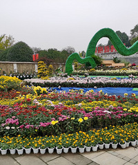 ÿ�궼Ҫȥ԰��԰��һ�Σ����Ͼջ�չ�����û�����