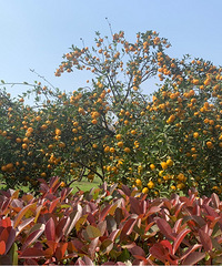 ˵�߾���ȥ���ϣ��żҽ�