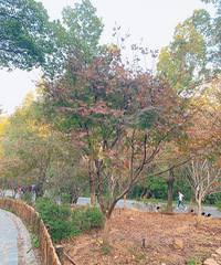 ȥżҽ磬סľƵ90ʳֺó