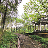 ����ˣ���ǵ�ʪ�ع�԰