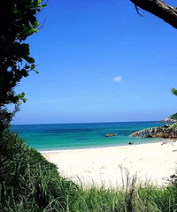 ϴԭʼĺ̲ˮɳ̲ϸ壬ȫû