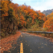 �����Ĺ���ɽ֮��