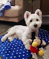 ��Ҷ���Ϊ�����˸���߹�