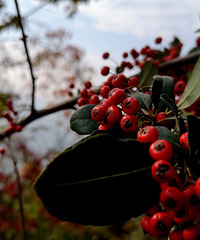 ������������ĩ��һ��˵�߾��ߵ����У�����ɽ����ƺ