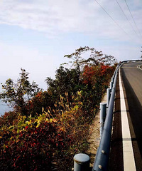 ������������ĩ��һ��˵�߾��ߵ����У�����ɽ����ƺ